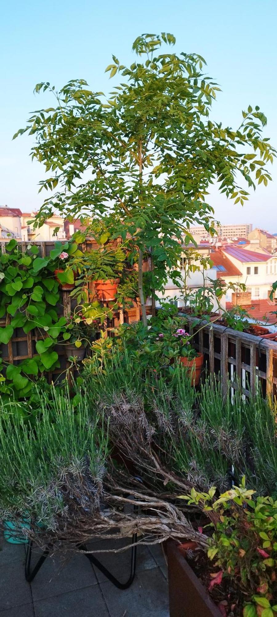Pensionat Guestrooms, Rooftop With Garden, Spacious Living Room, Character And Fireplace