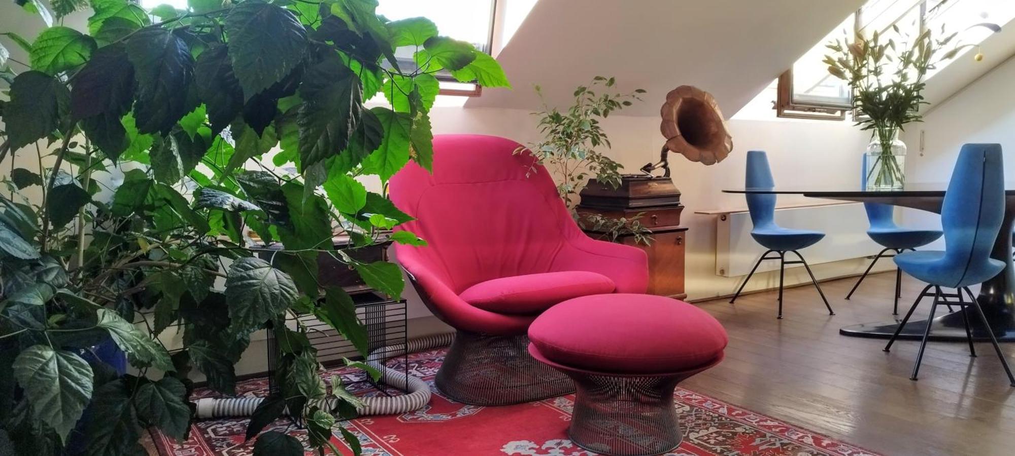 Guestrooms, Rooftop With Garden, Spacious Living Room, Character And Fireplace Pensionat