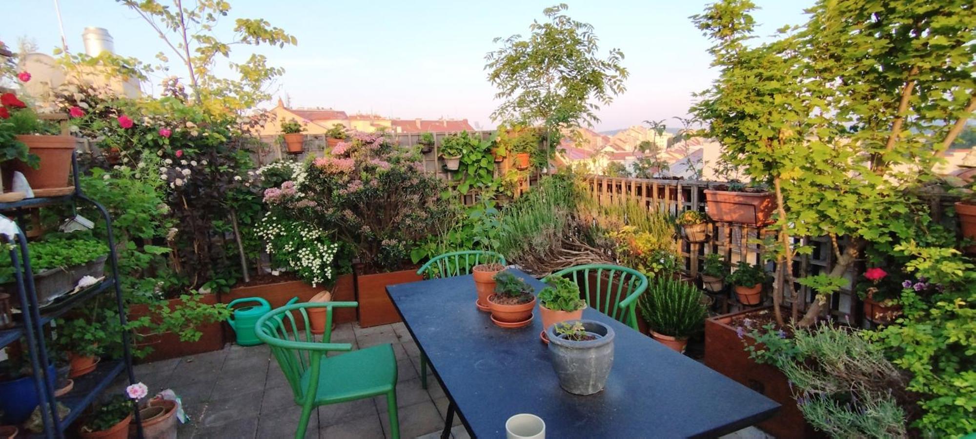 Guestrooms, Rooftop With Garden, Spacious Living Room, Character And Fireplace Pensionat