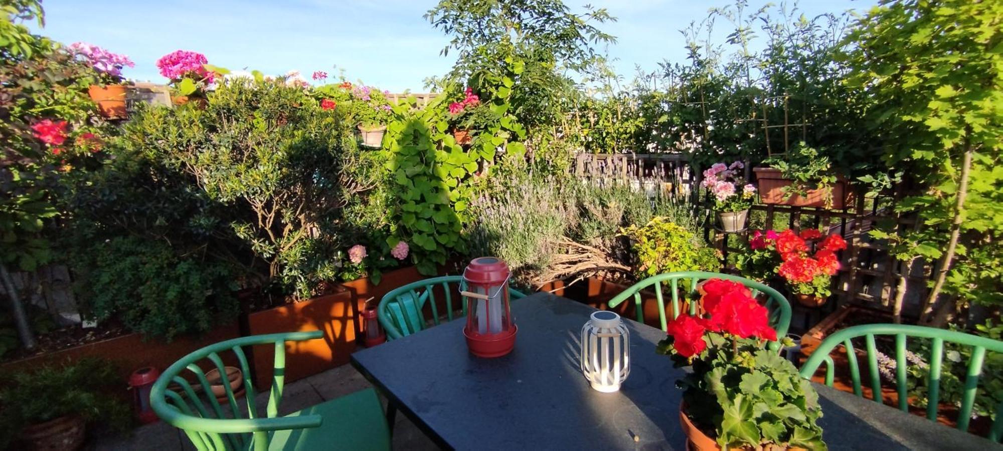 Pensionat Guestrooms, Rooftop With Garden, Spacious Living Room, Character And Fireplace
