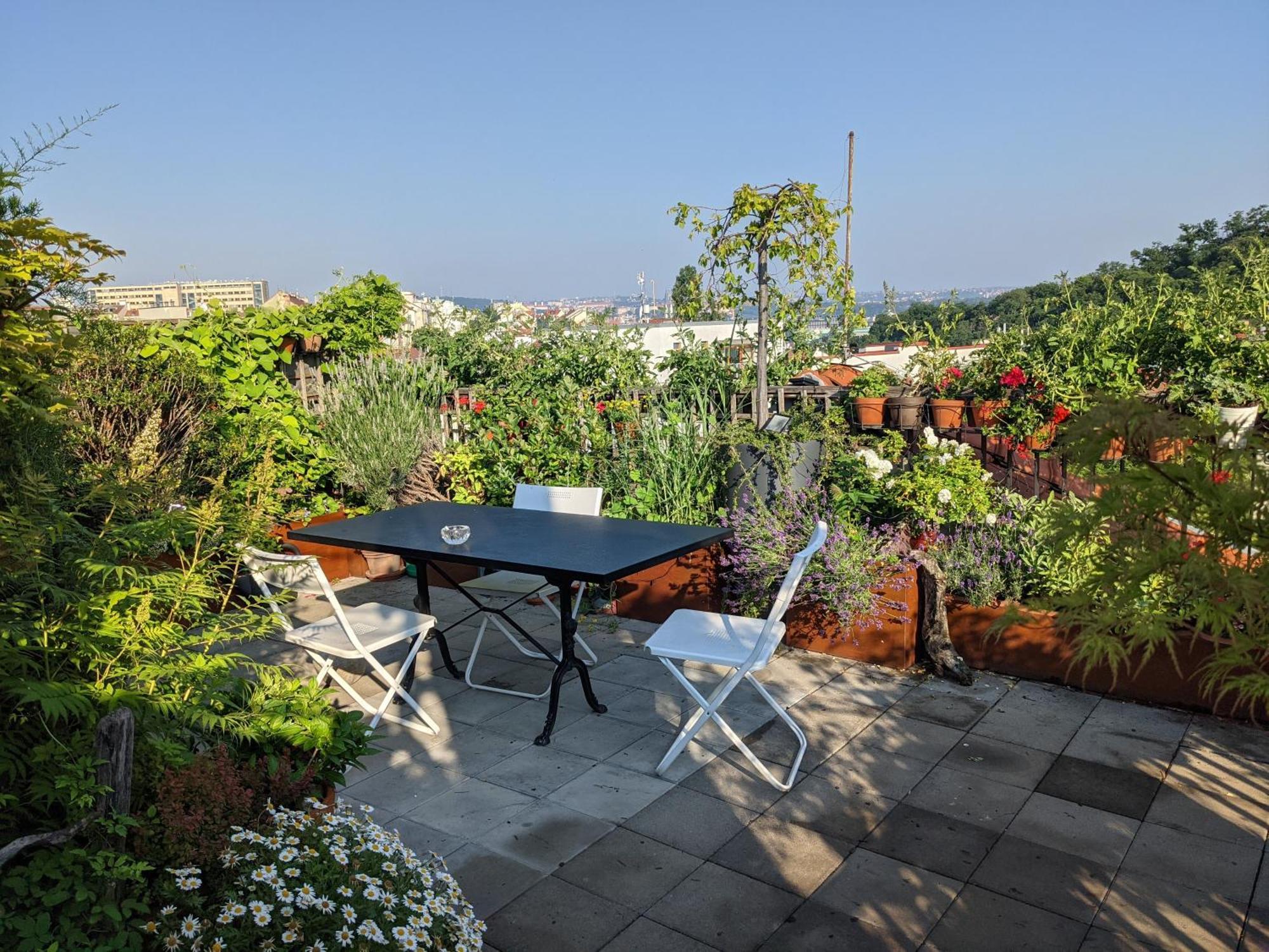 Guestrooms, Rooftop With Garden, Spacious Living Room, Character And Fireplace Pensionat